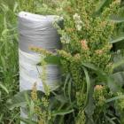 zdjęcie nr 9