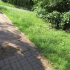 zdjęcie nr 15