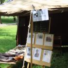 zdjęcie nr 16