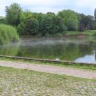 zdjęcie nr 42