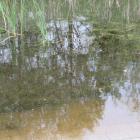 zdjęcie nr 33