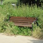 zdjęcie nr 58