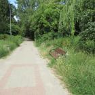 zdjęcie nr 59