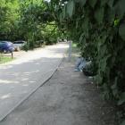 zdjęcie nr 36