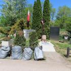 zdjęcie nr 41