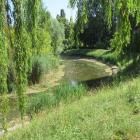 zdjęcie nr 8