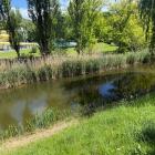 zdjęcie nr 45