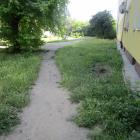 zdjęcie nr 31