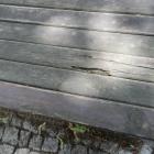 zdjęcie nr 7