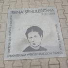 zdjęcie nr 9