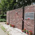 zdjęcie nr 8