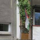 zdjęcie nr 14