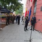 zdjęcie nr 43
