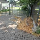 zdjęcie nr 11