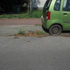 zdjęcie nr 13