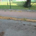 zdjęcie nr 26