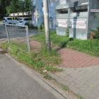 zdjęcie nr 27