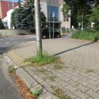 zdjęcie nr 29