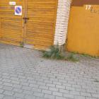 zdjęcie nr 36