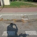 zdjęcie nr 37