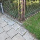 Fotka nr 5 z 11