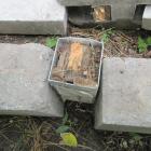 zdjęcie nr 13