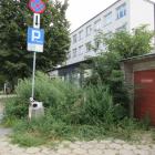 Fotka nr 5 z 24