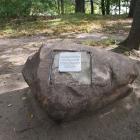 zdjęcie nr 39
