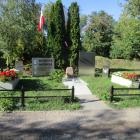 zdjęcie nr 16