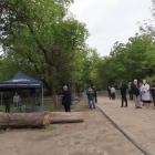 zdjęcie nr 16
