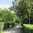 zdjęcie nr 26