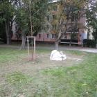 zdjęcie nr 55