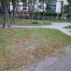 zdjęcie nr 57