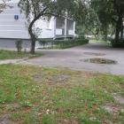 zdjęcie nr 58