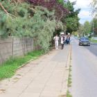 zdjęcie nr 97