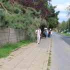 zdjęcie nr 98