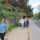 zdjęcie nr 102