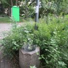 zdjęcie nr 7