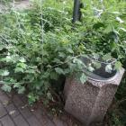 zdjęcie nr 8