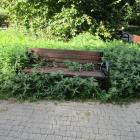 zdjęcie nr 15