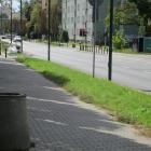 zdjęcie nr 19