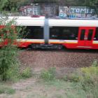 zdjęcie nr 8