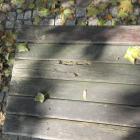 zdjęcie nr 7