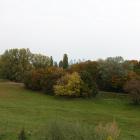 zdjęcie nr 28