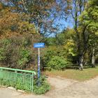 zdjęcie nr 8