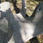 zdjęcie nr 27