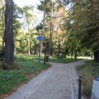 zdjęcie nr 38