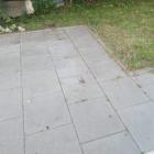 zdjęcie nr 8