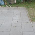 zdjęcie nr 9