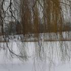 zdjęcie nr 70